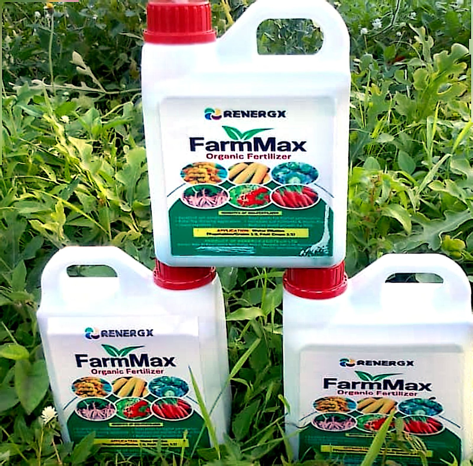 Organic Fertilizer