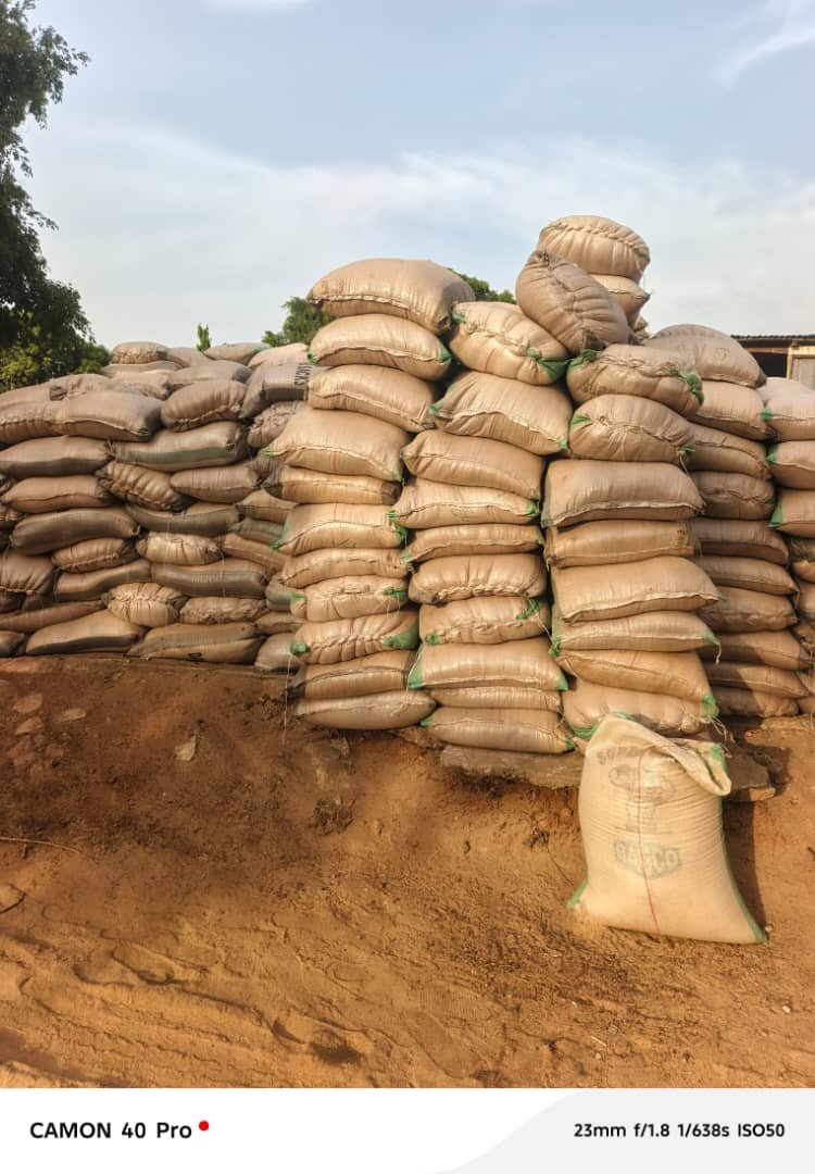Maize, bean, Guinea corn, rice
