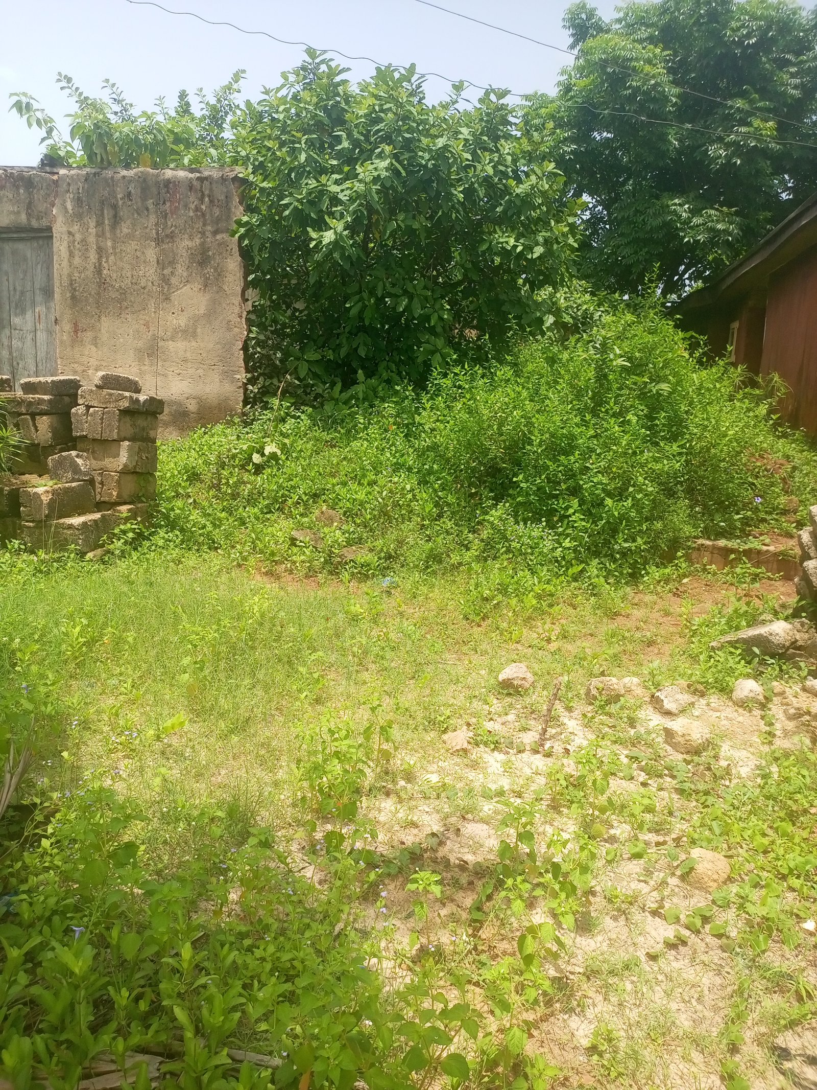 45 by 100 plot of land with a 35 by 50 drive way