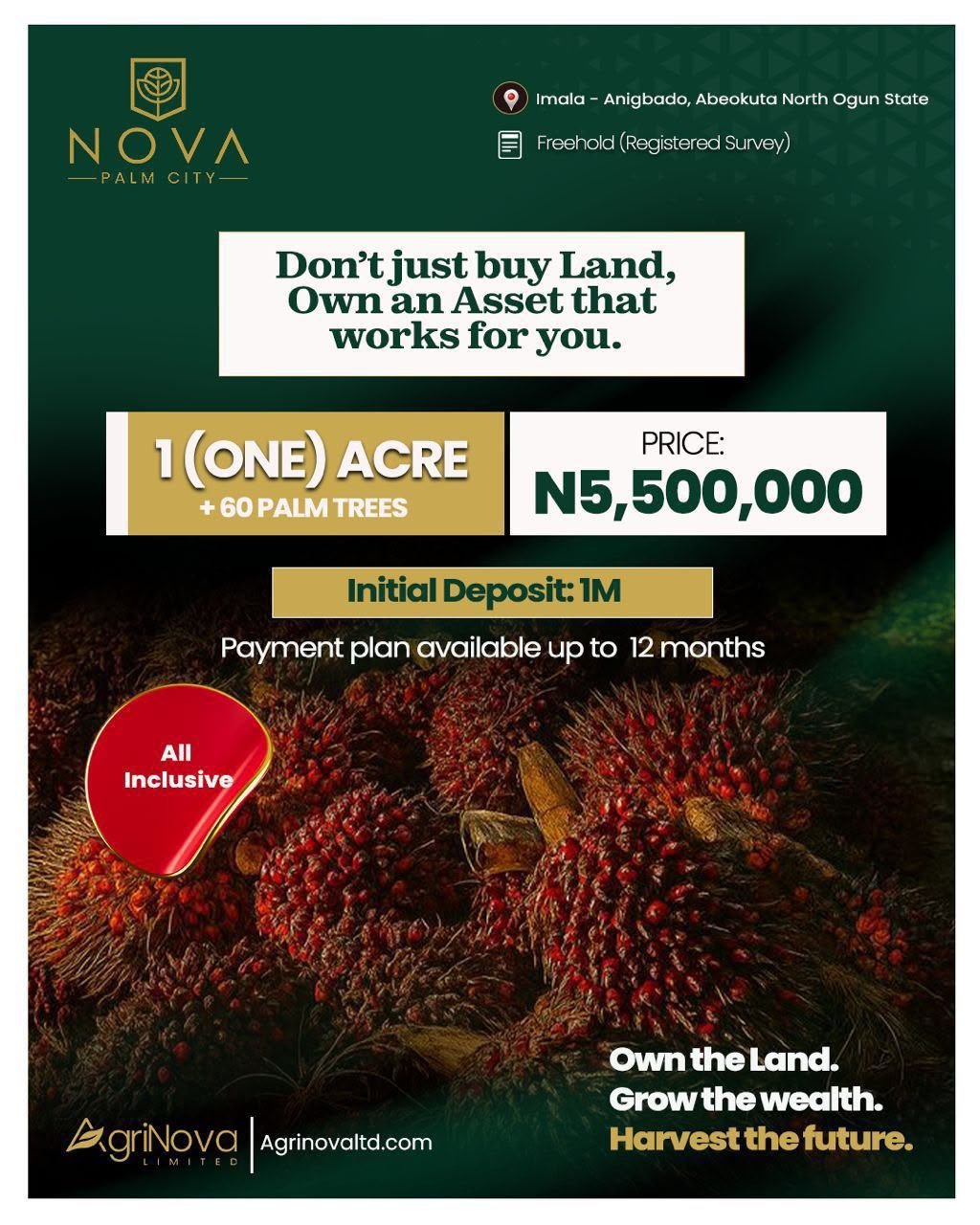 Nova Palm City – Own Land. Grow Wealth. Harvest the Future.