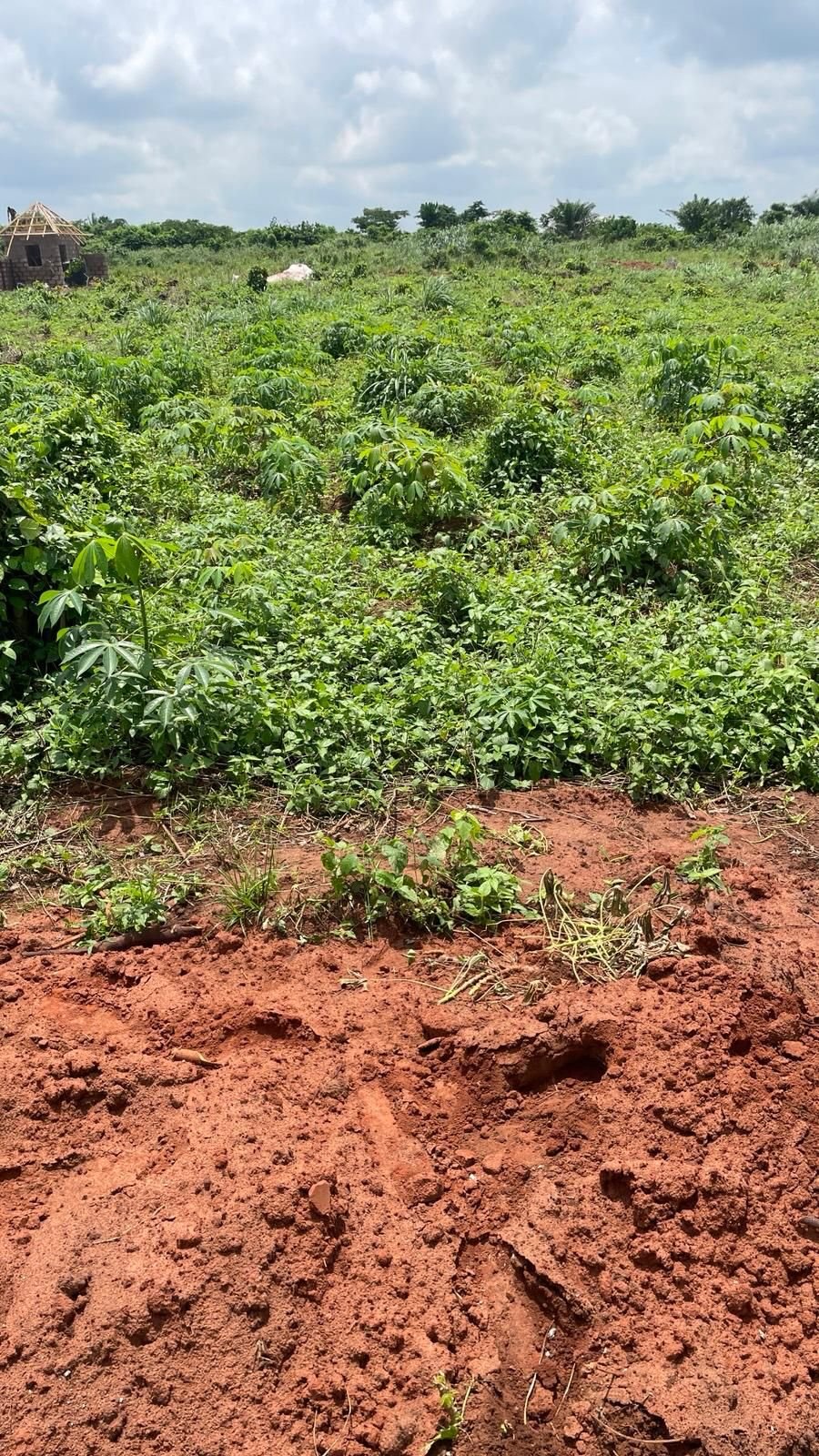 Land for sale