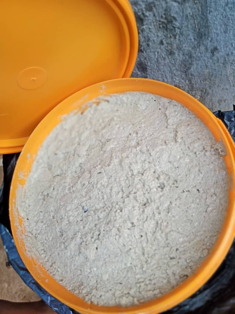 Castor bean paste ogiri igbo